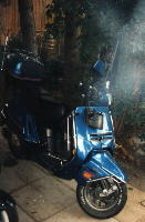 Der *Kleine* von vorne mit eingedellter Nase und hngenden Ohren